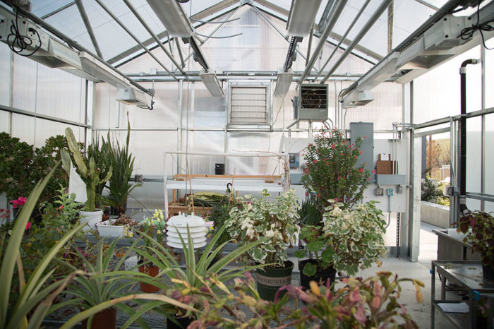 Green houses aid the sciences at LPC