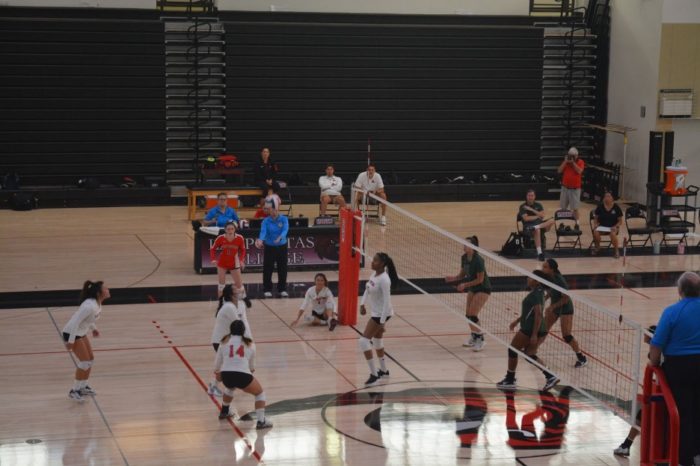 Women's volleyball is back at LPC